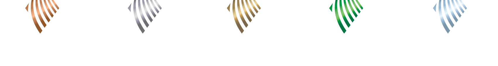 Caloundra Waves Rewards level logos